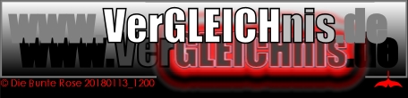 VerGLEICHnis-Logo: VerGLEICH & GLEICHnis